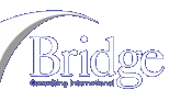 Bridge Consulting International